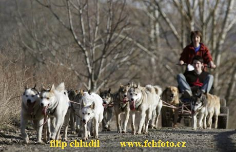 Hustopece 08 - 246.JPG